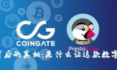 揭秘TP钱包停运背后的真相：是什么让这款数字钱
