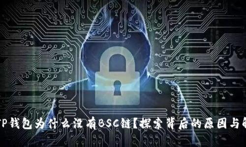 电脑版TP钱包为什么没有BSC链？探索背后的原因与解决方案