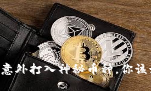 当TP钱包意外打入神秘币种，你该如何应对？