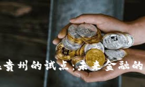 数字货币在贵州的试点：未来金融的曙光与挑战