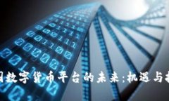 探寻中国数字货币平台的未来：机遇与挑战并存
