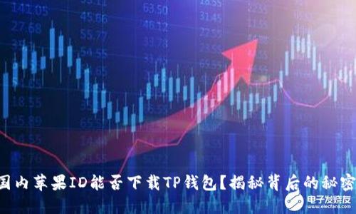 国内苹果ID能否下载TP钱包？揭秘背后的秘密！