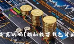 TP钱包上的钱是真的吗？揭秘数字钱包背后的真相