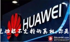 探索TP钱包闪兑功能不支持的真相：你是否也曾遇