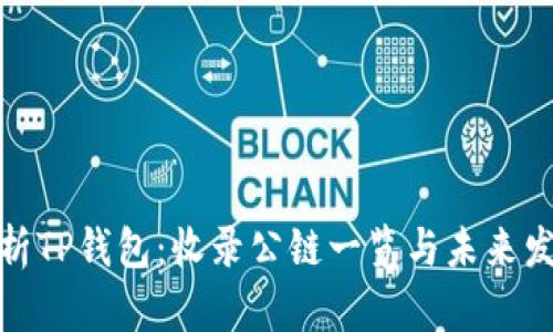 全面解析TP钱包：收录公链一览与未来发展趋势