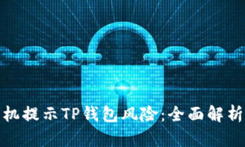 如何应对手机提示TP钱包风险：全面解析与安全策略
